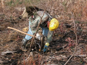 Hand Tree Planting